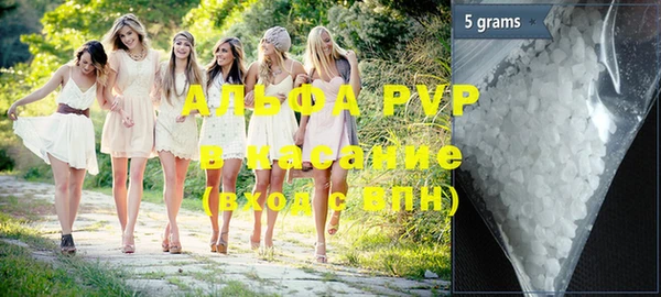 хмурый Верея