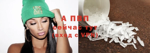 хмурый Верея