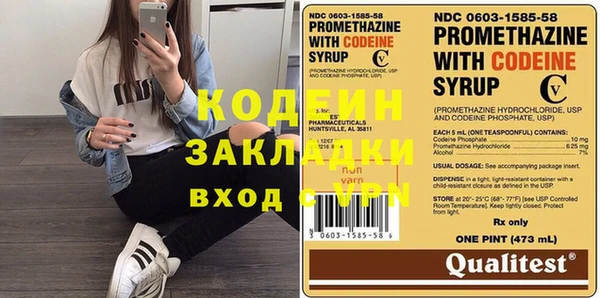 хмурый Верея
