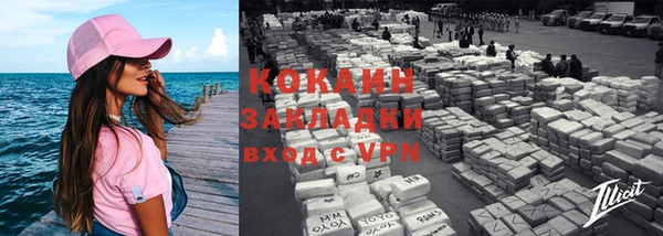 хмурый Верея