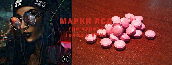 хмурый Верея
