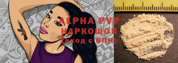 хмурый Верея