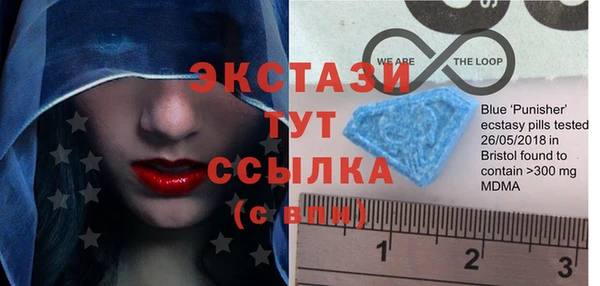хмурый Верея